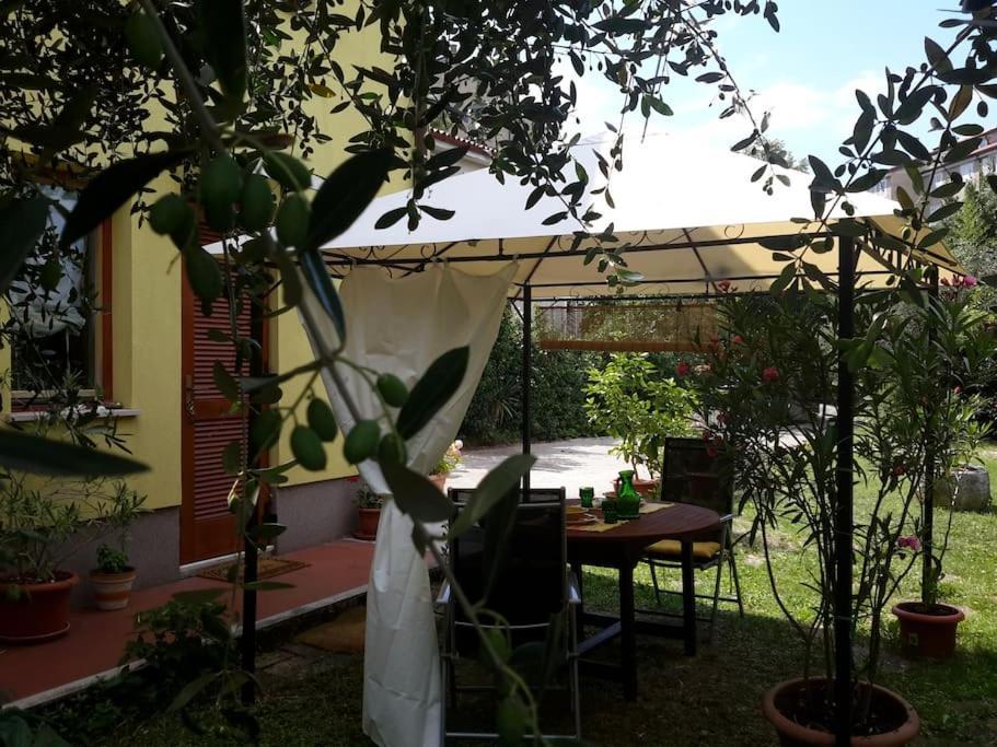 Studio With Garden Near The Sea Копер Екстериор снимка